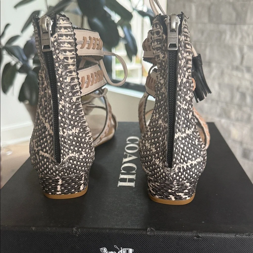 Coach Tan and Black Gladiator Sandals - Picture 4 of 5